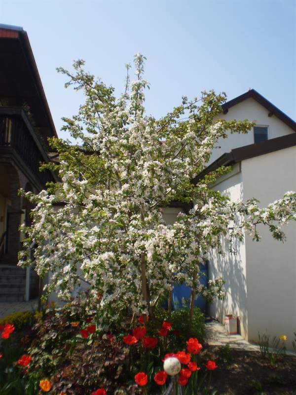 dd8e98ba-5b11-4e7c-8933-0d7a3070853d