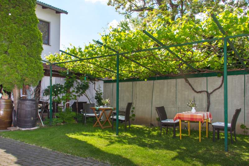 7d7c2337-0436-4f83-81d8-29dc850190de