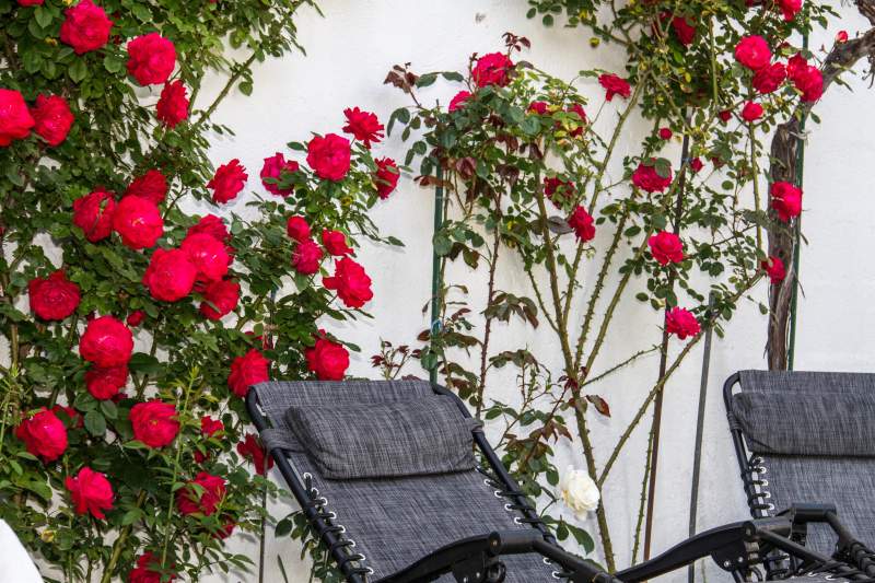 c1b5a0aa-a966-4693-9e7e-3d539254cb89