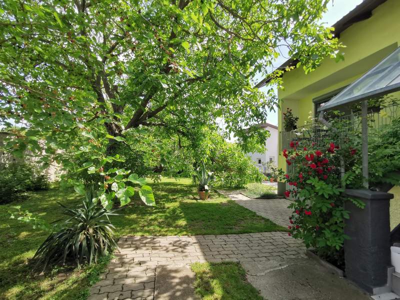 a368169c-4f04-4f56-b7d7-575ef4ef3d90