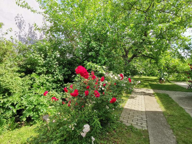 ab4fc00f-cd7c-4336-92e5-9fc1205bcc65