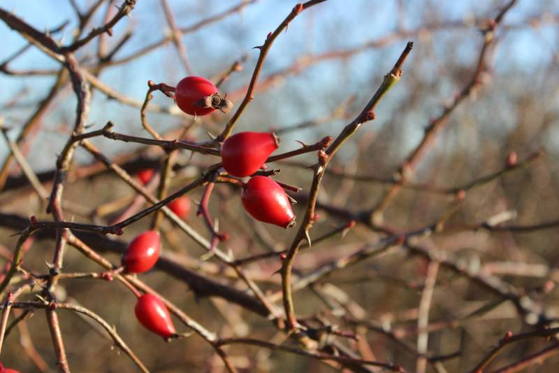 b1e68d2e-29a2-49ac-a899-8c388c904233