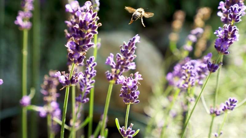 27a04f48-14f5-4cee-9410-c297d7ebe3b2