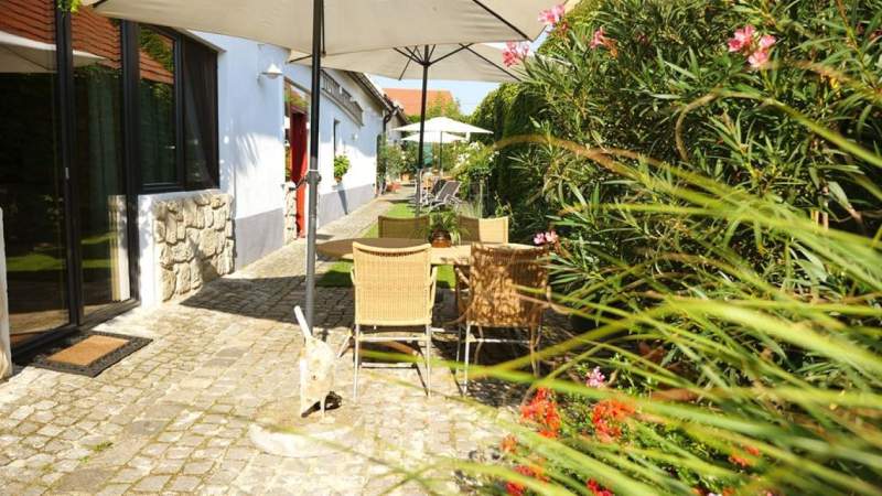 5e509321-2ca1-4c2d-ab30-e4d9c3823da0