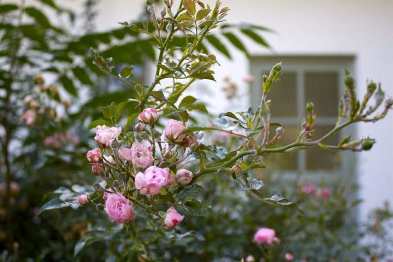 888f52ec-a9fb-49ac-9c7a-73056a8e3910