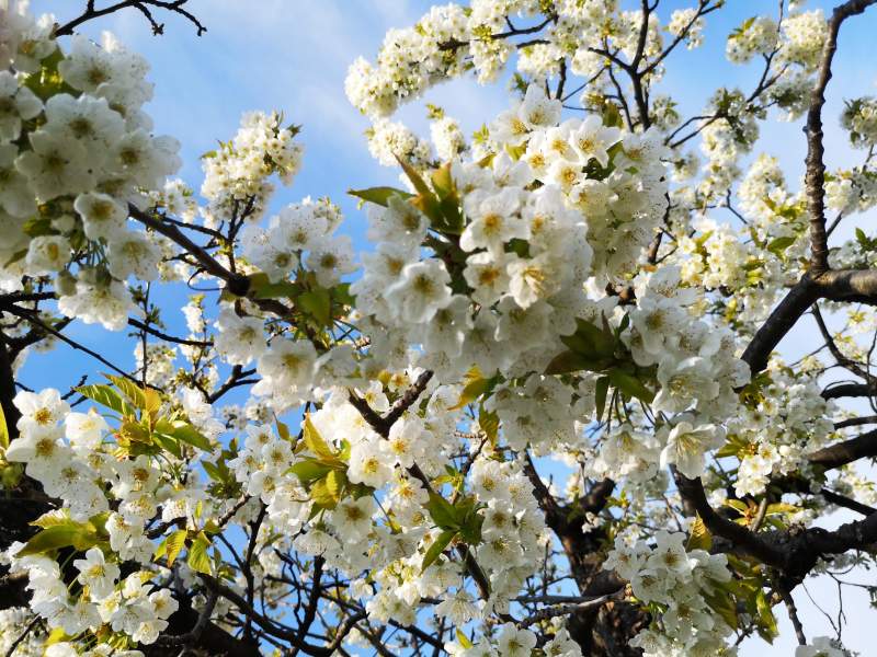 13a27b03-f157-428c-a244-1bc49b714649