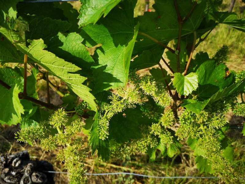 8cefa2dd-38f3-4510-85ea-12f3eceb022f