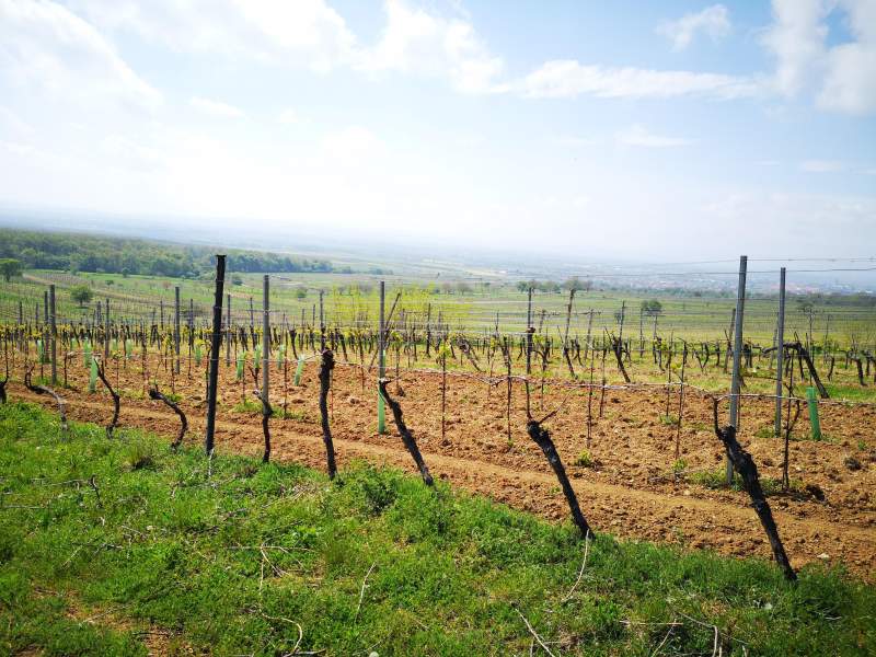 ad120bdf-0d0a-4f9c-b22d-bcdfcf4eea7f