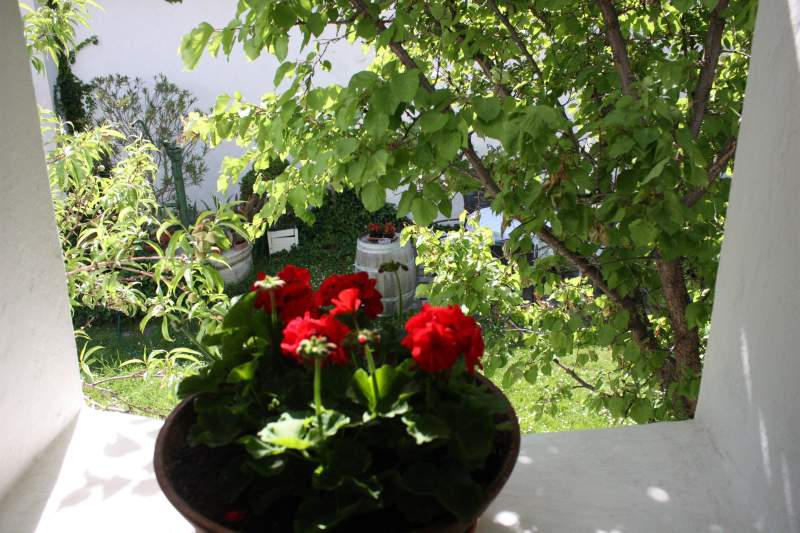 fcaa7059-5e15-4a29-ae0f-1da7bdeb1c84