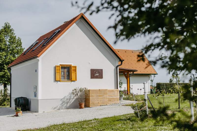 62fbd1dd-6dfd-49ca-bcc7-49e271090b68