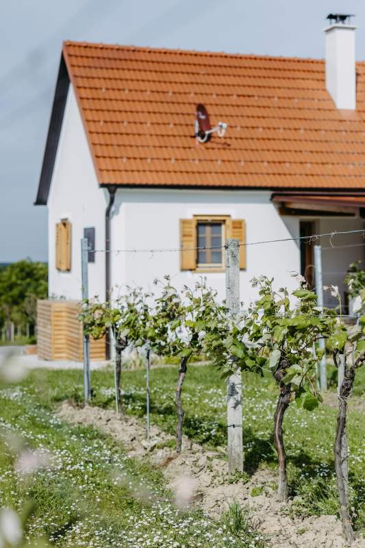 d6d3517c-3f5b-4bc5-8725-8c6a0154139e