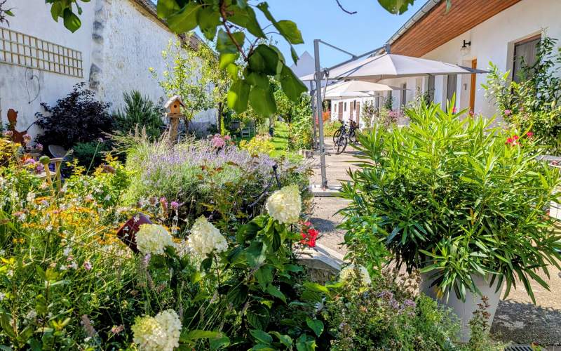 7626873c-16af-42c8-8a49-1cac47c158d8