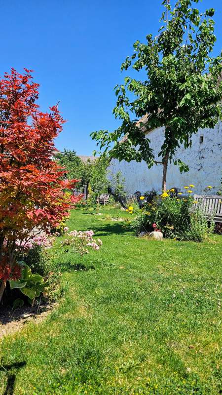 e52cc459-036d-4d81-89c9-708ca3baab0f