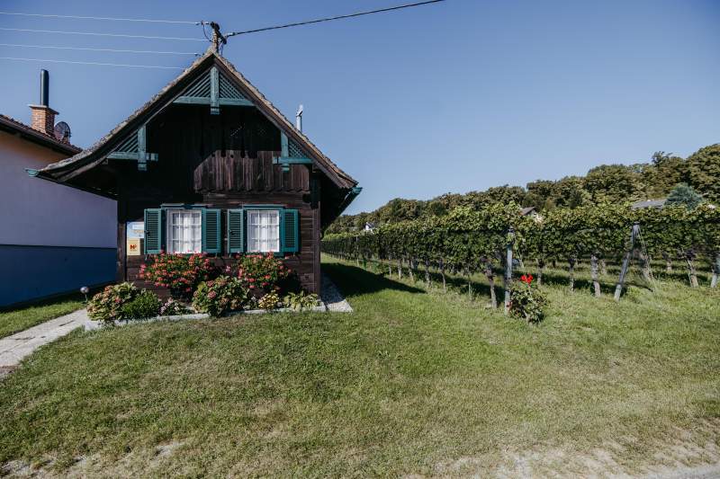 18589e1f-1c5e-43e9-bfed-8b1447e16cf7