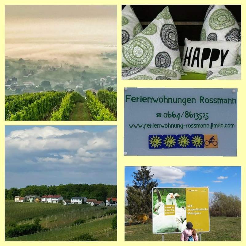 39aef1e2-eb70-411f-bf5d-131ecb438169