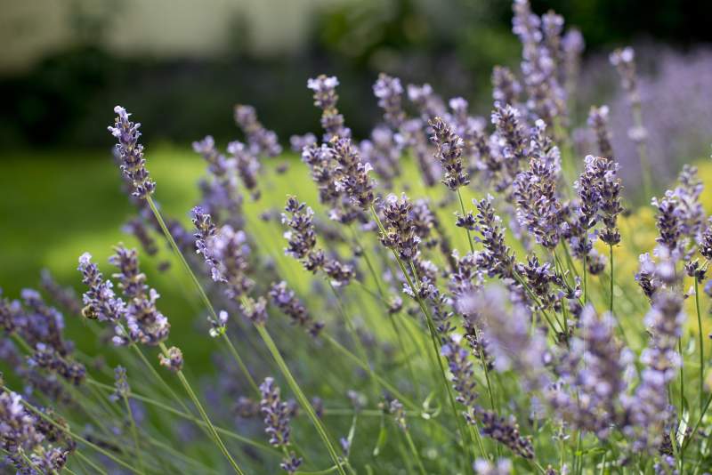 963ad21b-df7a-4c85-af95-0f3f6236212f