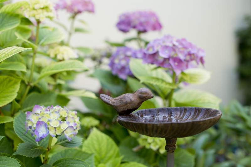 eb891b5d-b1dc-4748-9f42-56a68663e2a4