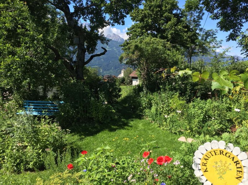 01-naturkraeutergarten-eder-iselsberg