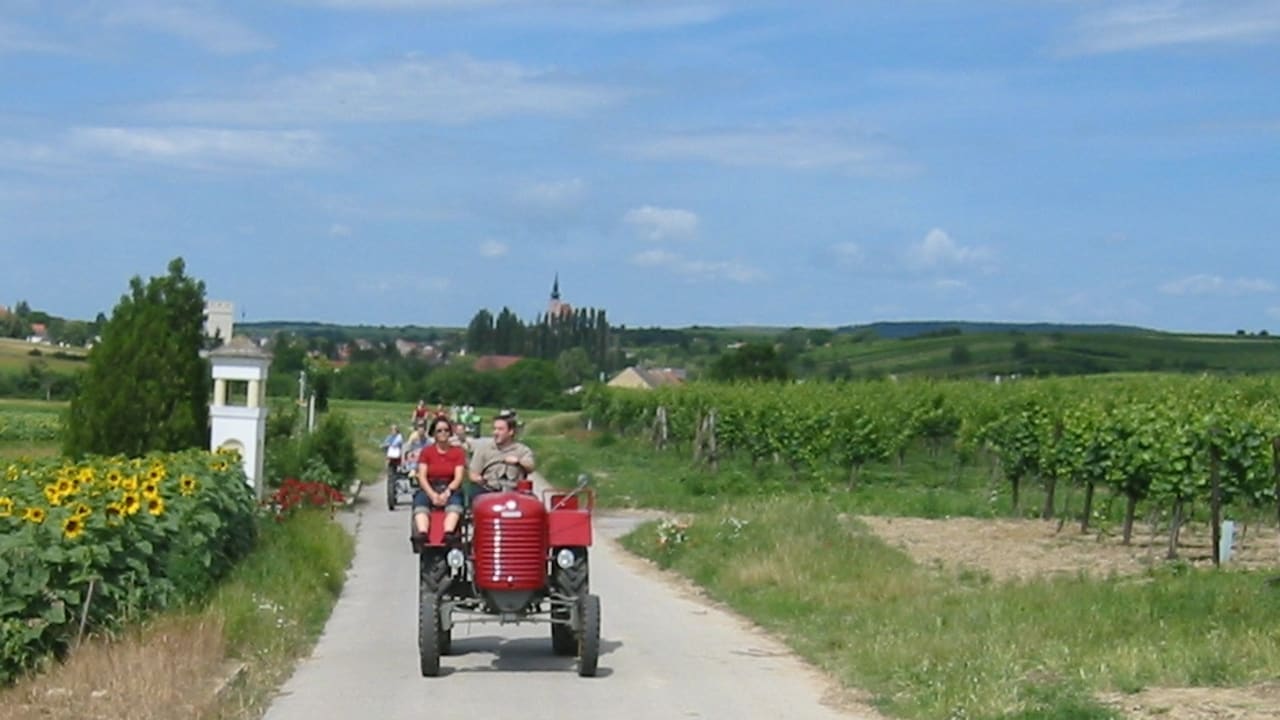 bild1