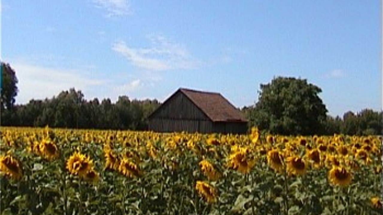 bild0