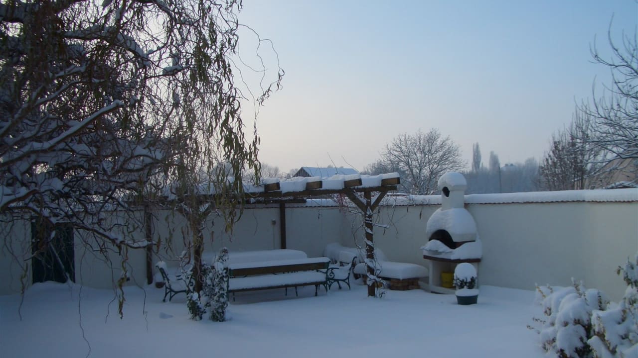 bild1