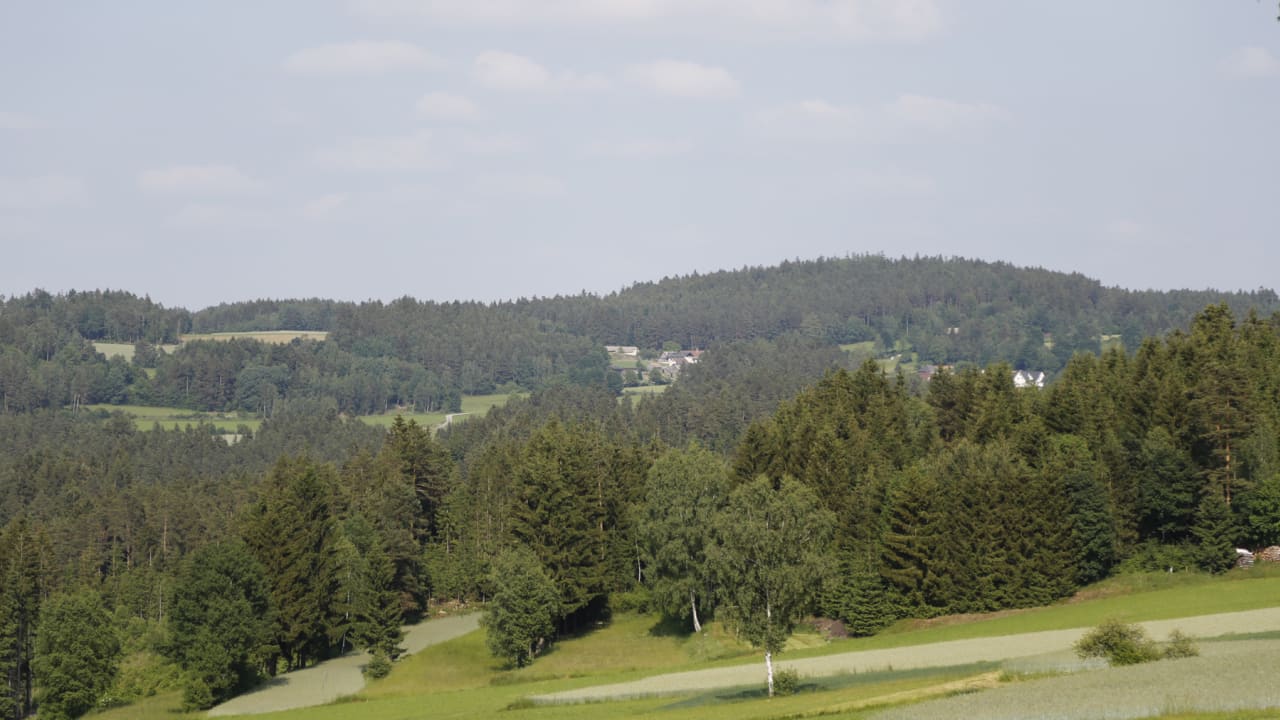bild5