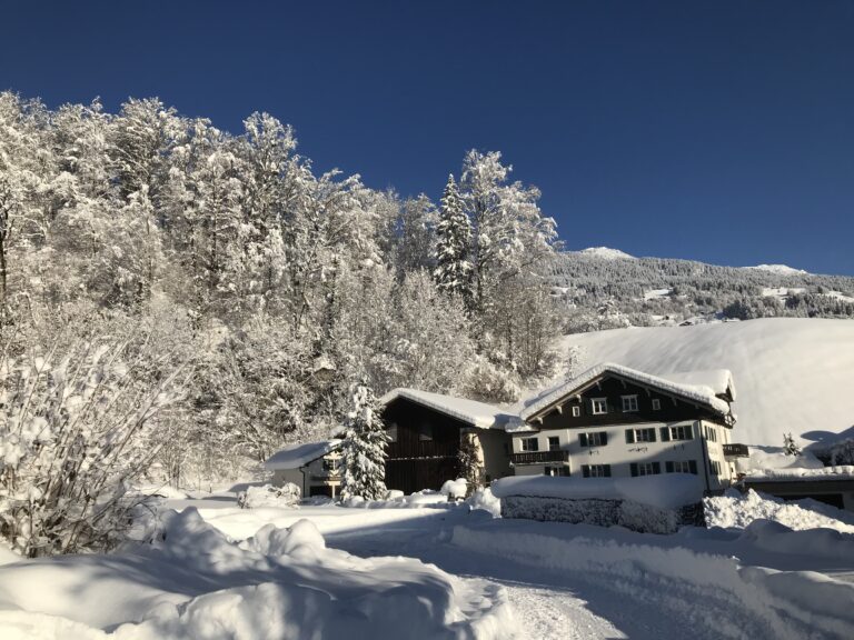 winterbild-1-768x576