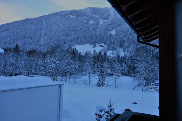 dsc05124-2-768x512