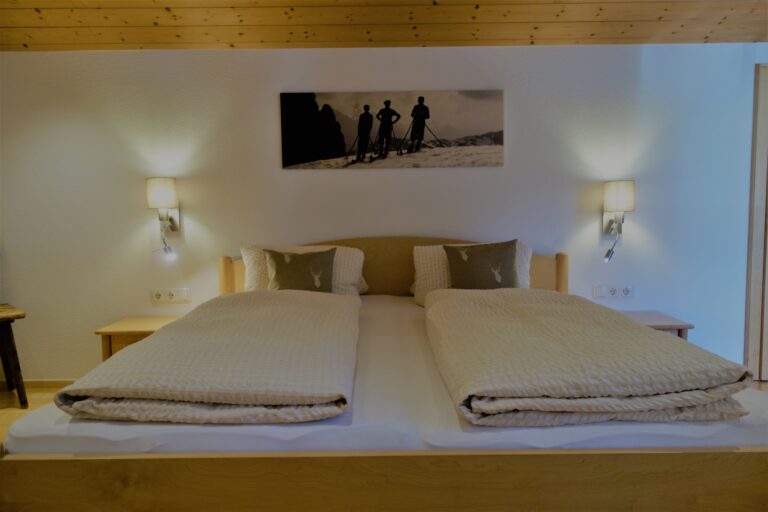 ferienwohnung-montafon-piz-buin-6-768x512