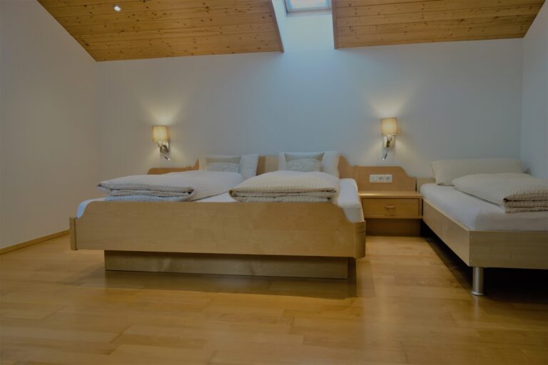 ferienwohnung-montafon-piz-buin-7-768x512