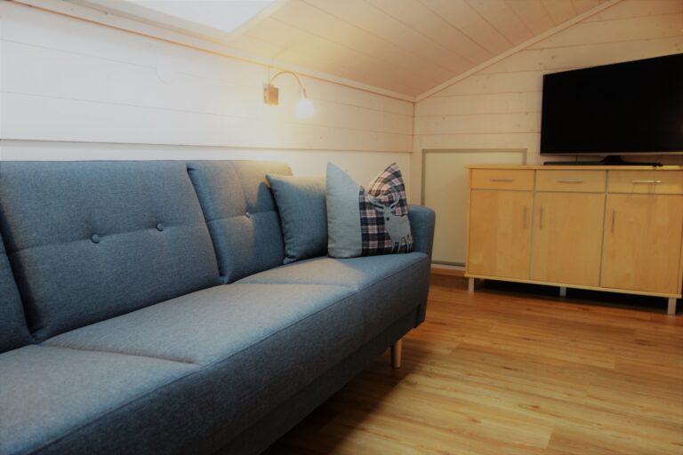 ferienwohnung-montafon-piz-buin-95-768x512