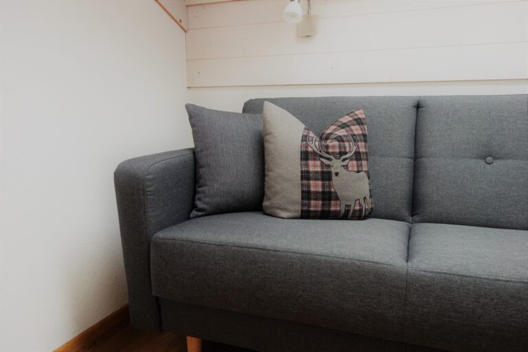 ferienwohnung-montafon-piz-buin-96-768x512