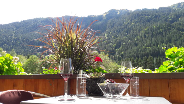 ferienwohnung-montafon-piz-buin-98-768x432