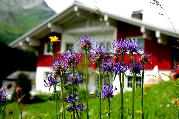 photo-uid-321-1358847800