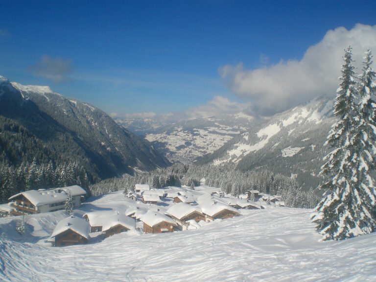 cimg4597-768x576