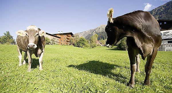 photo-uid-87-1360783564