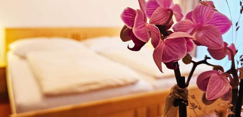 01037efc-920d-4eb1-89d3-69a1786597a7