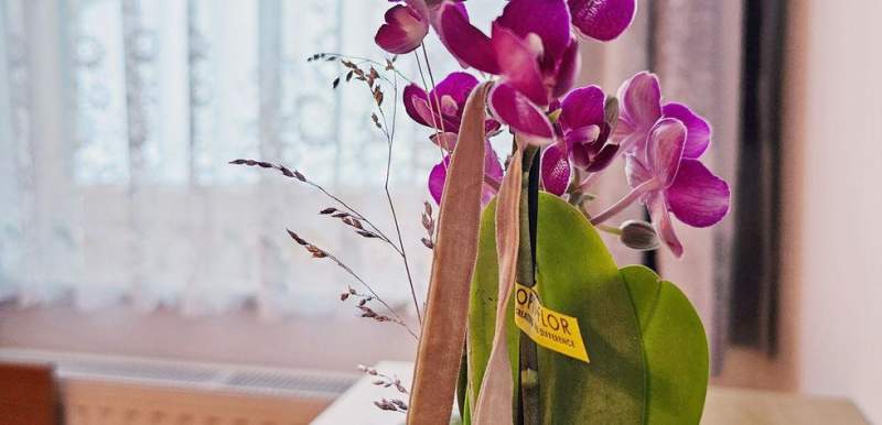 d71effe4-c3b5-4ced-bd06-49abfdef7e6f