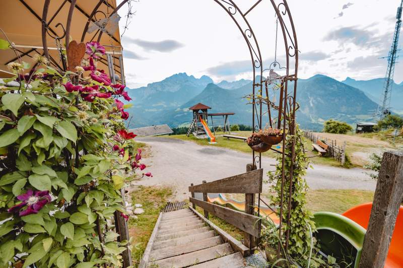 b793ff81-ce2b-4554-bbca-d080e02e9a29