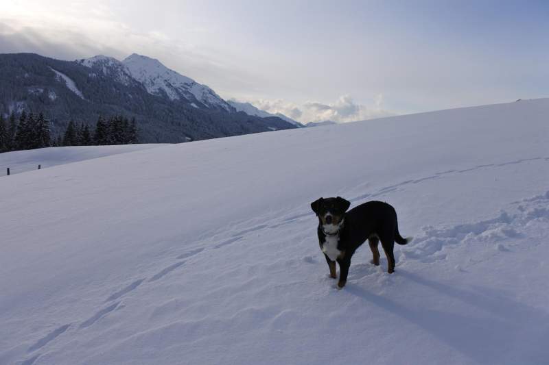 45718f07-04fb-464e-8879-79c81f737be2