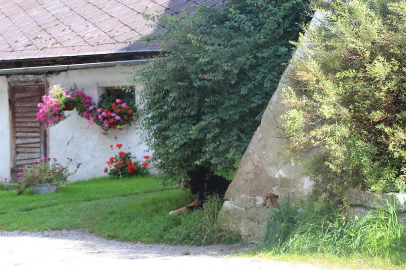 8bbe0e64-d599-4982-a52d-a079f8a65dcf