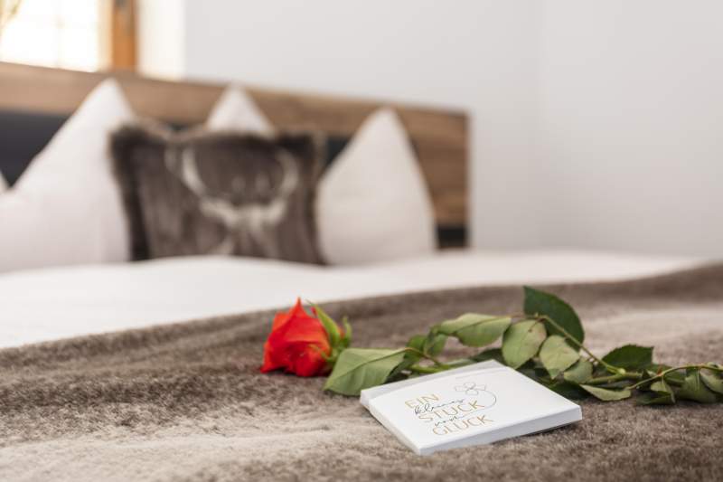 5e03fab1-3897-495c-9b2f-063325a27ae4