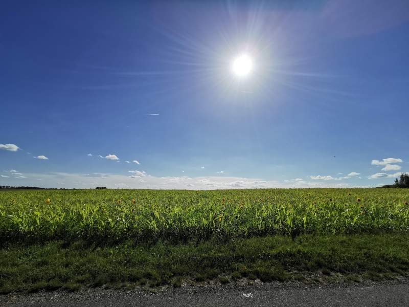 9ee76eb6-3818-44b1-aad9-4703580da8ae