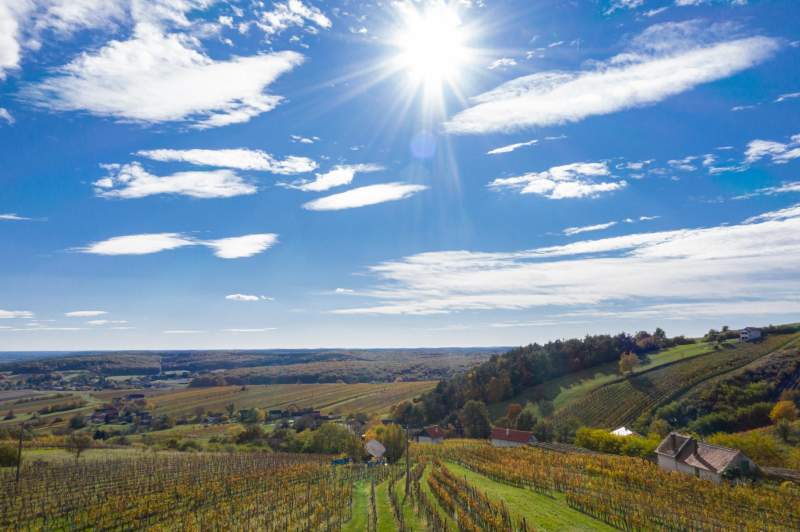 39c2482b-5bee-449a-8495-35a312286f29