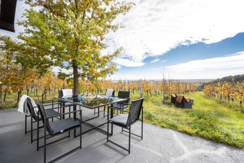 6453b6f7-5438-4ebe-90a5-f7e7ecec55fa