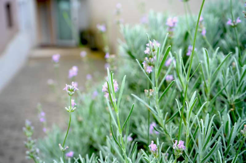 2af267b4-25d1-4f72-b371-43cc0664fd52