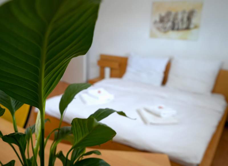 5c8130d5-0043-43f8-9ade-d7a26cb39079