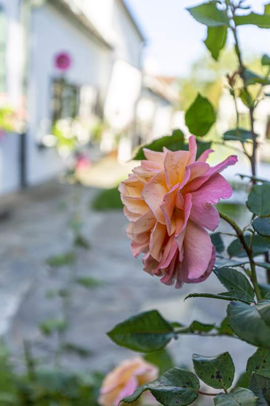 9461b3be-4e4f-4cc0-8571-3c8dfc80b560