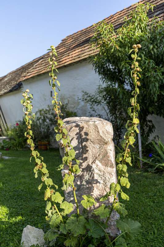 a3b186f0-be6a-4239-a624-09e2e9a2469d