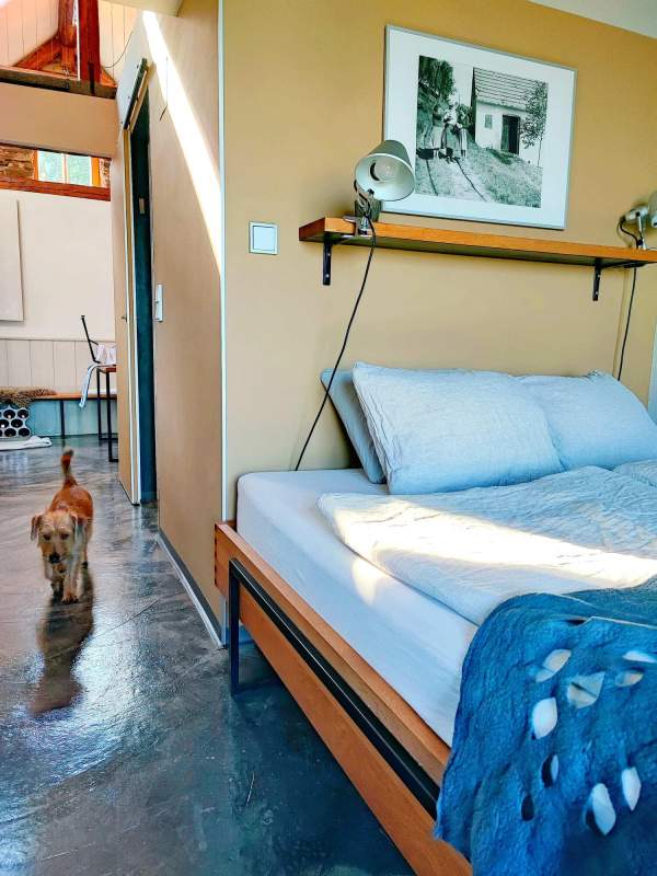 592cfd64-a4f8-41fc-92f9-b6e7732a75b7